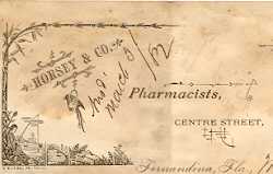 1882 letter from Fernandina pharmacists Horsey & Co.